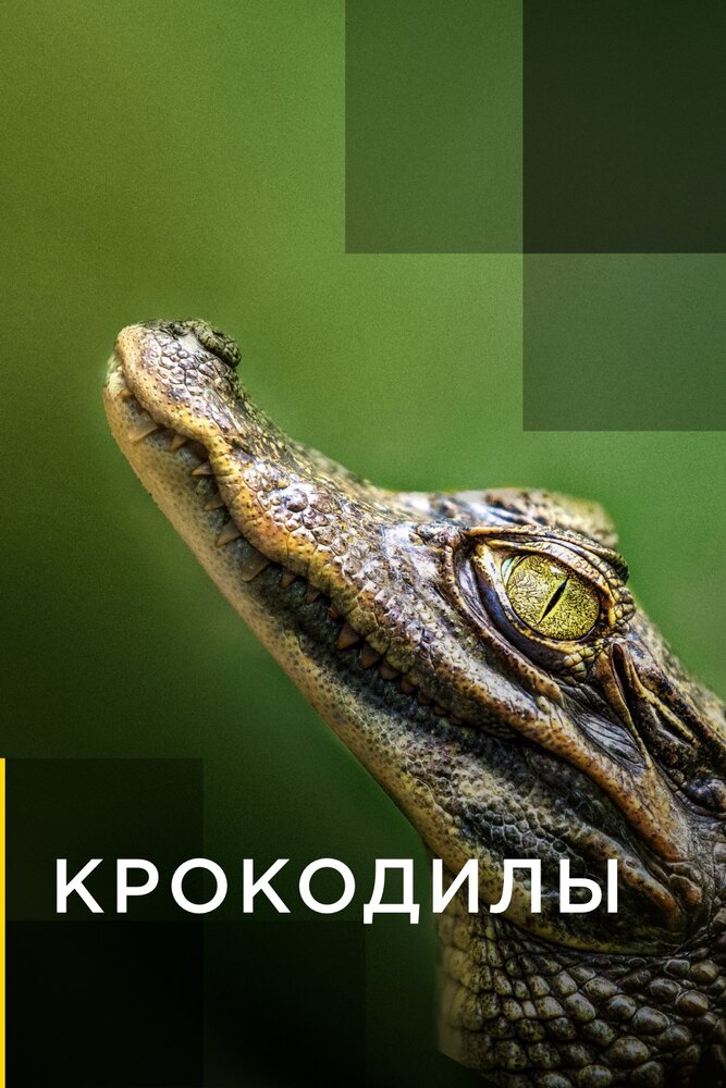 Крокодилы (2019) постер