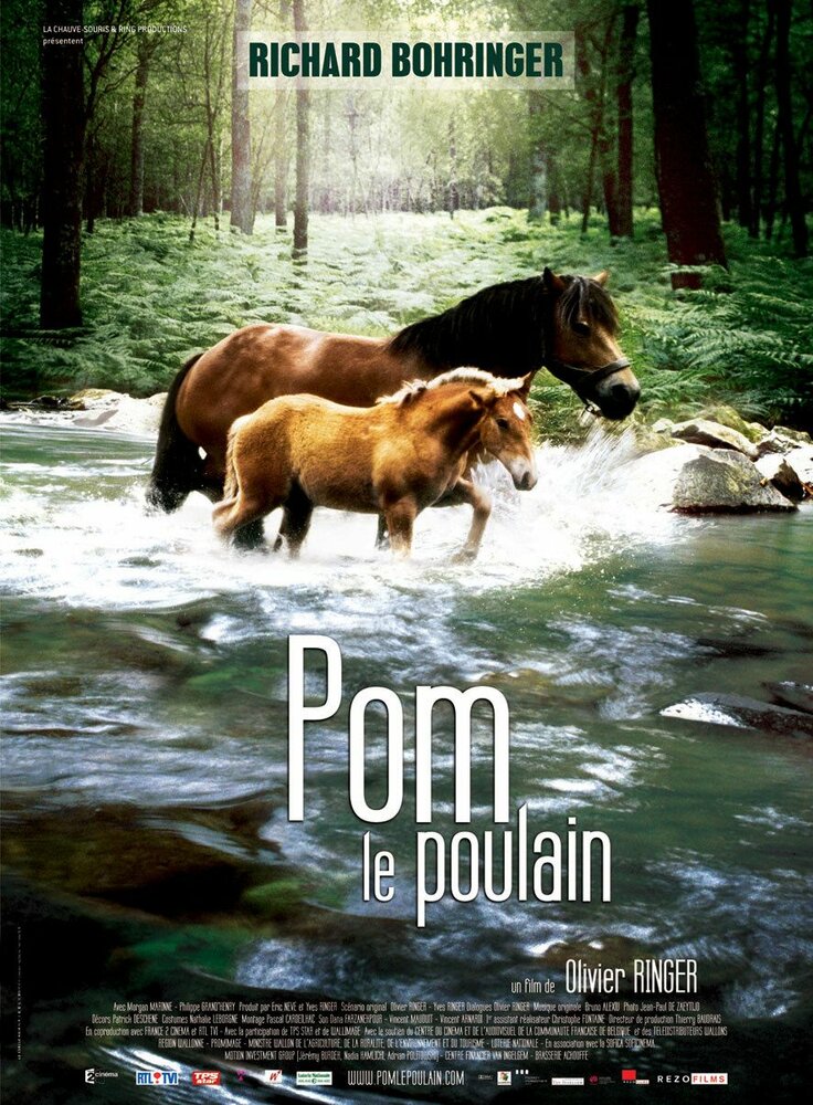 Pom, le poulain (2006) постер