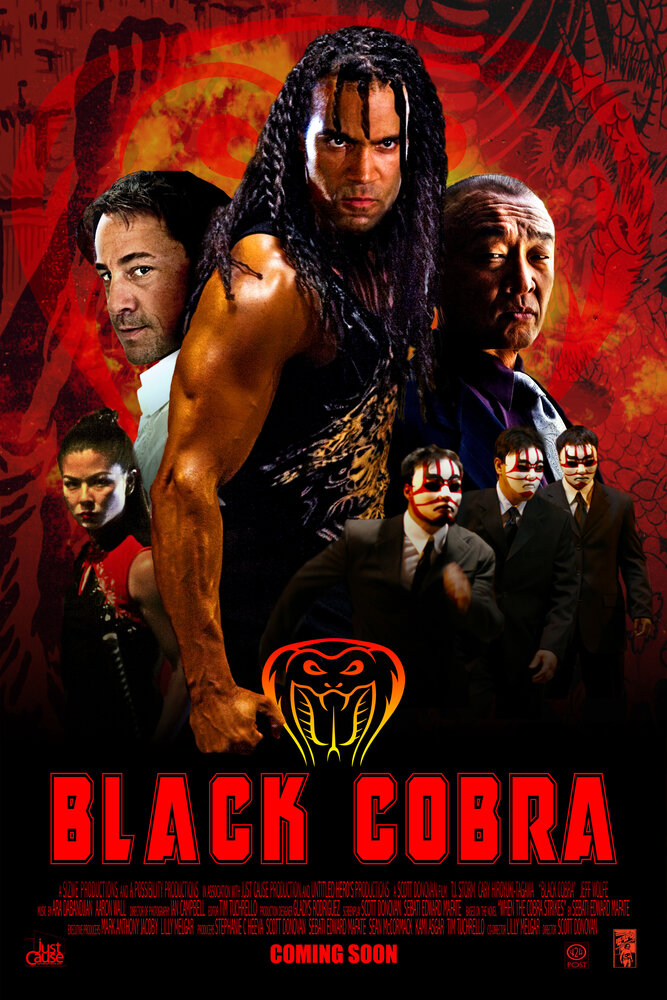 Черная кобра (2012) постер