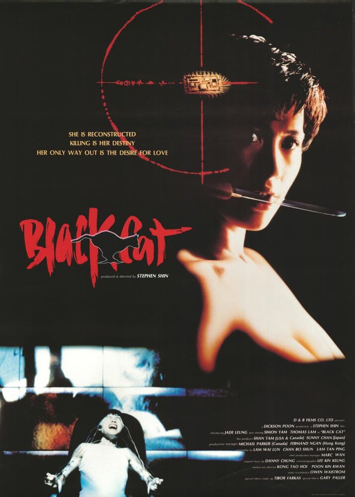 Черная кошка (1991) постер
