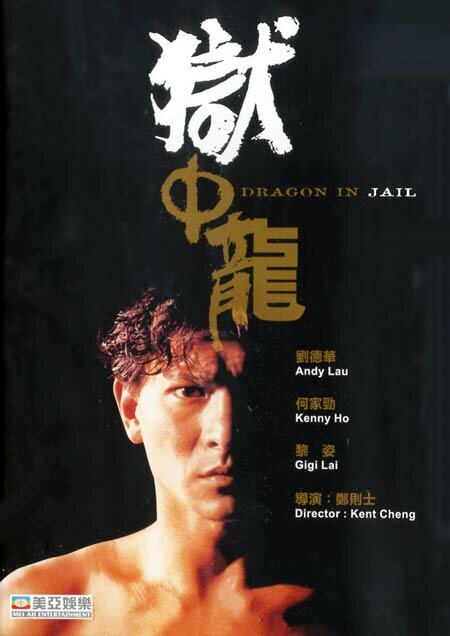 Дракон в тюрьме (1990) постер