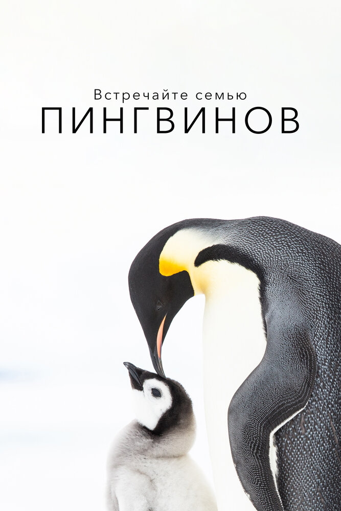 Встречайте семью пингвинов (2020) постер
