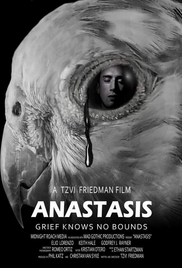Anastasis (2020) постер