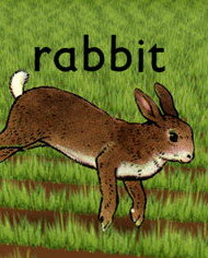 Кролик (2005) постер