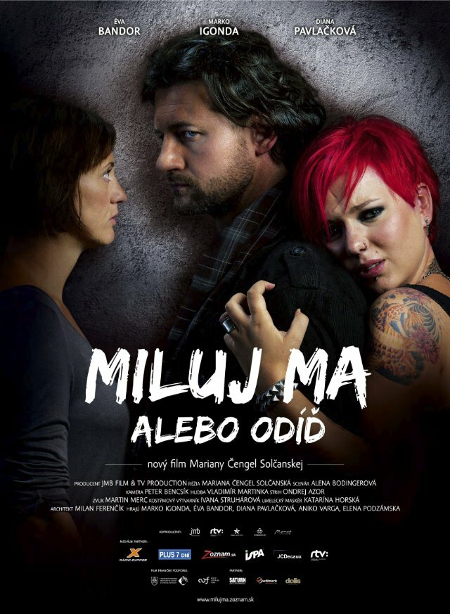 Полюби или оставь меня (2013) постер