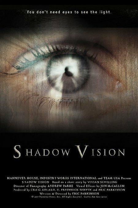 Shadow Vision (2014) постер