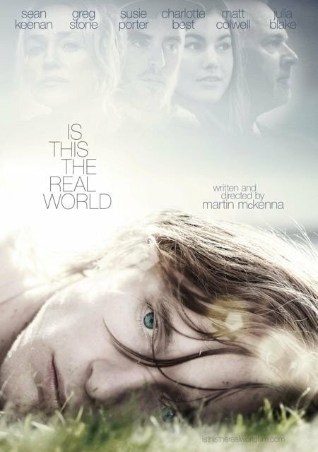 Реальный мир (2015) постер