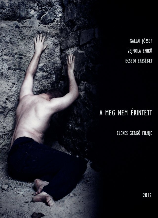 A meg nem érintett (2012) постер