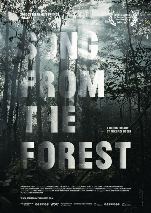 Song from the Forest (2013) постер