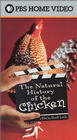 Естественная история курятины (2000) постер