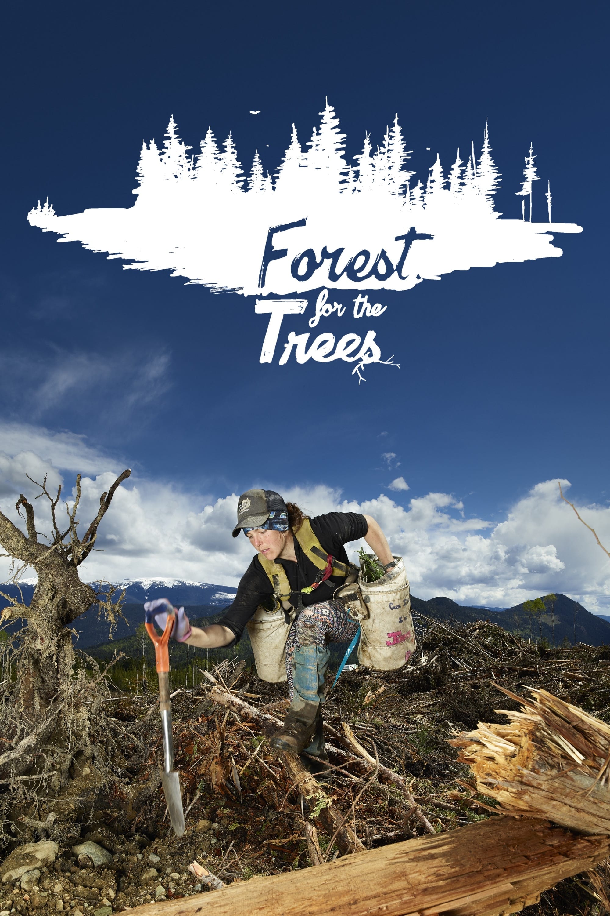 Forest for the Trees (2021) постер