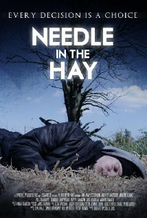 Needle in the Hay (2011) постер