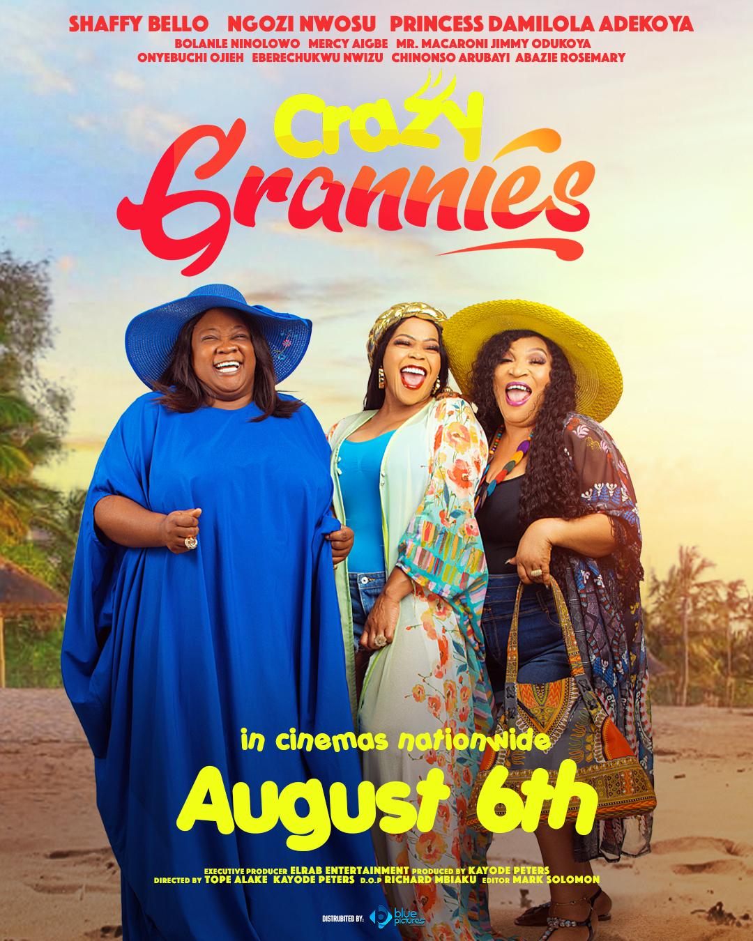 Crazy Grannies (2021) постер