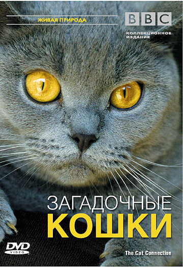 BBC: Загадочные кошки (2002) постер