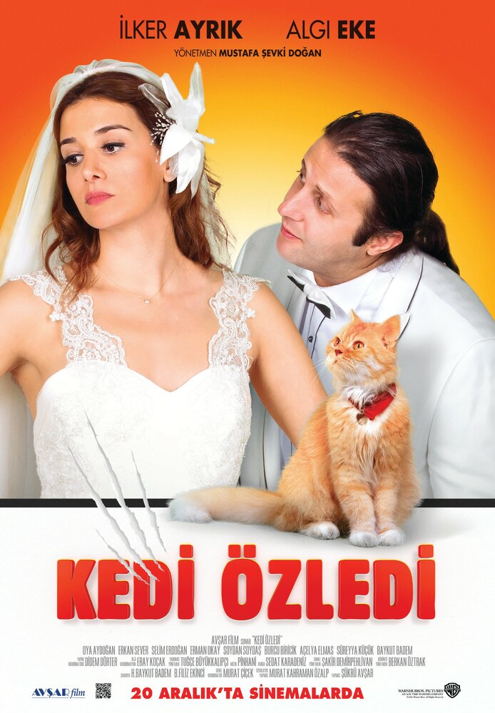 Кошки были пропущены (2013) постер